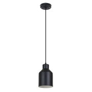   Arte Lamp Lark A7073SP-1BK