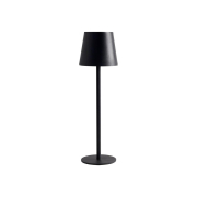    Arte Lamp Fuyue A1614LT-1BK