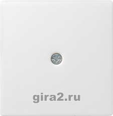   Gira System 55   - -